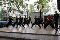 The Dragon arises at the National Multicultural Festival